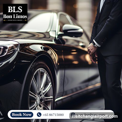 Luxury Car Service Advertisement