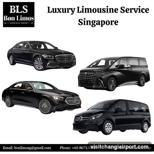 Luxury Limousine Service Singapore