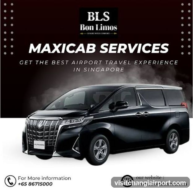 BLS Bon Limos Maxicab Services Advertisement