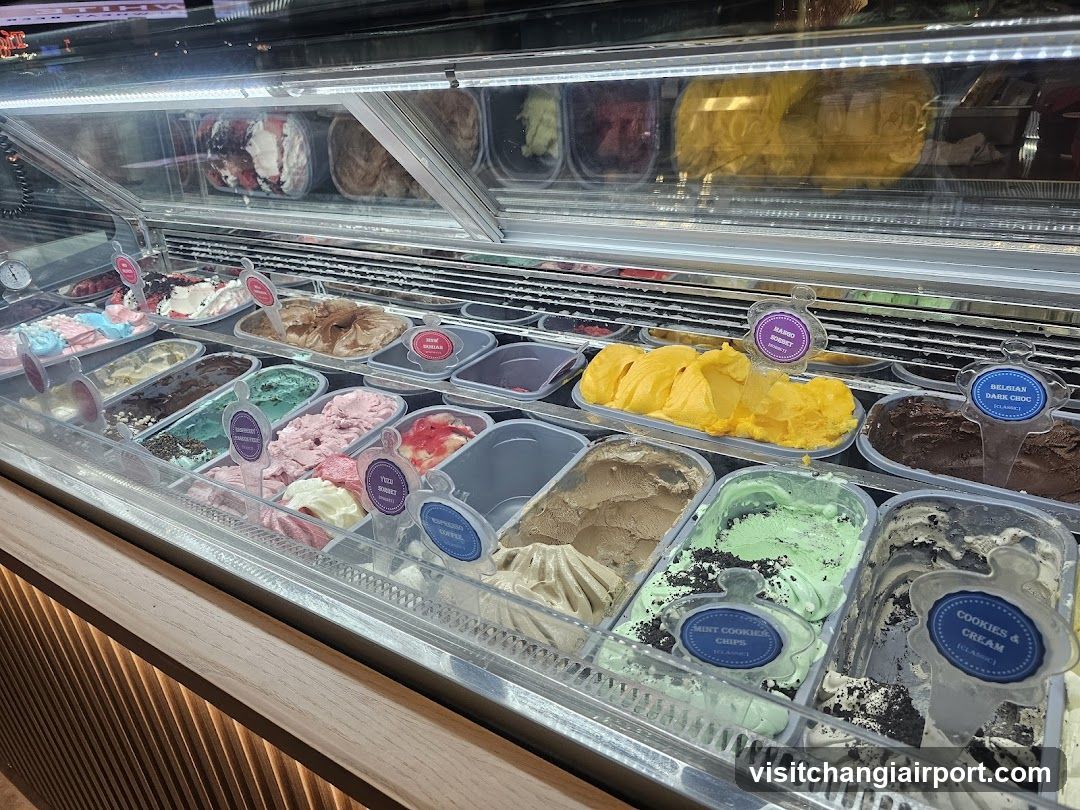 Gelato Display Case