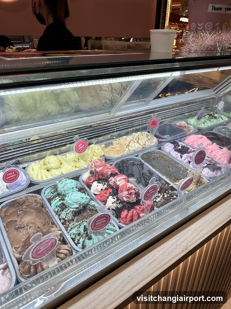 Gelato Display Case
