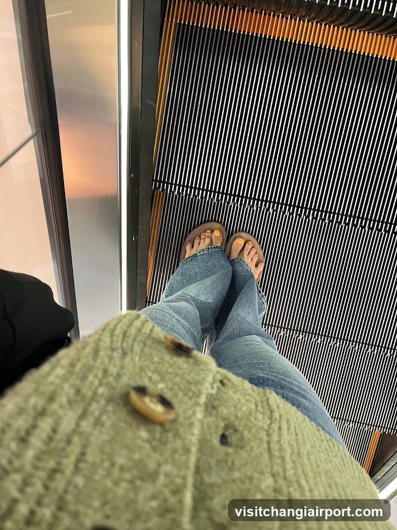 Elevator Interior View