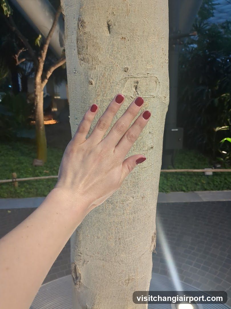 Hand on Tree Trunk