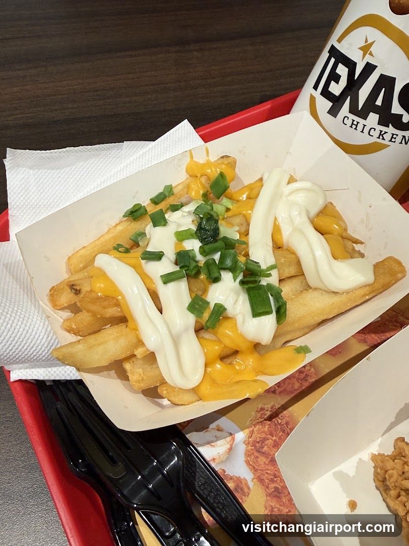 Loaded Fries with Cheese and Sour Cream