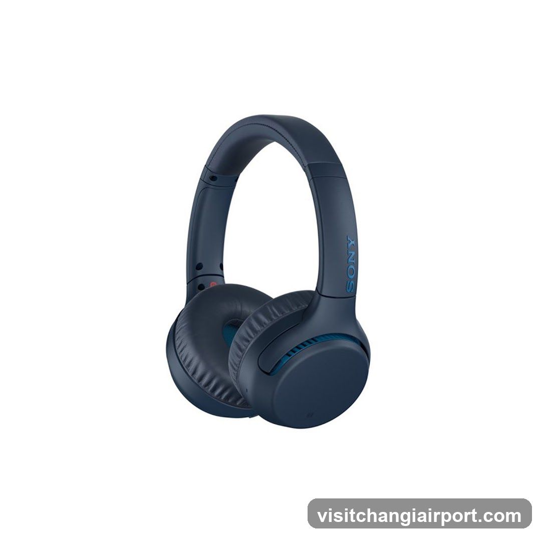 Sony Wireless Headphones