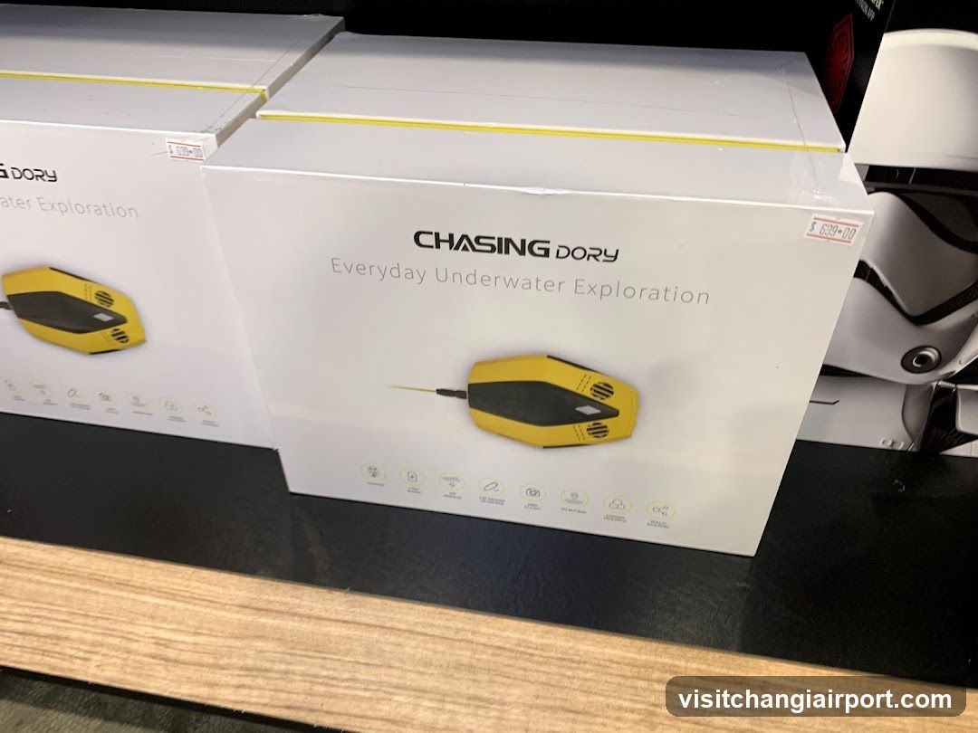 Chasing Dory Product Display