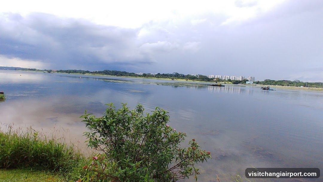 River View with Cloudy Sky