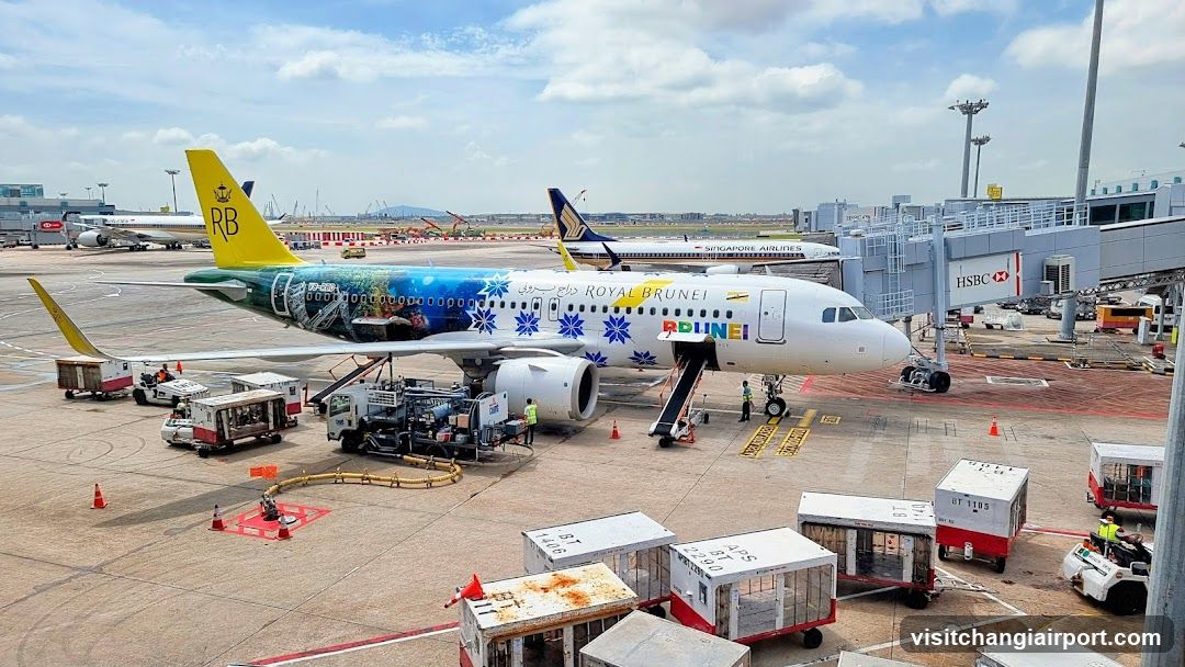 Airplane at Airport Gate