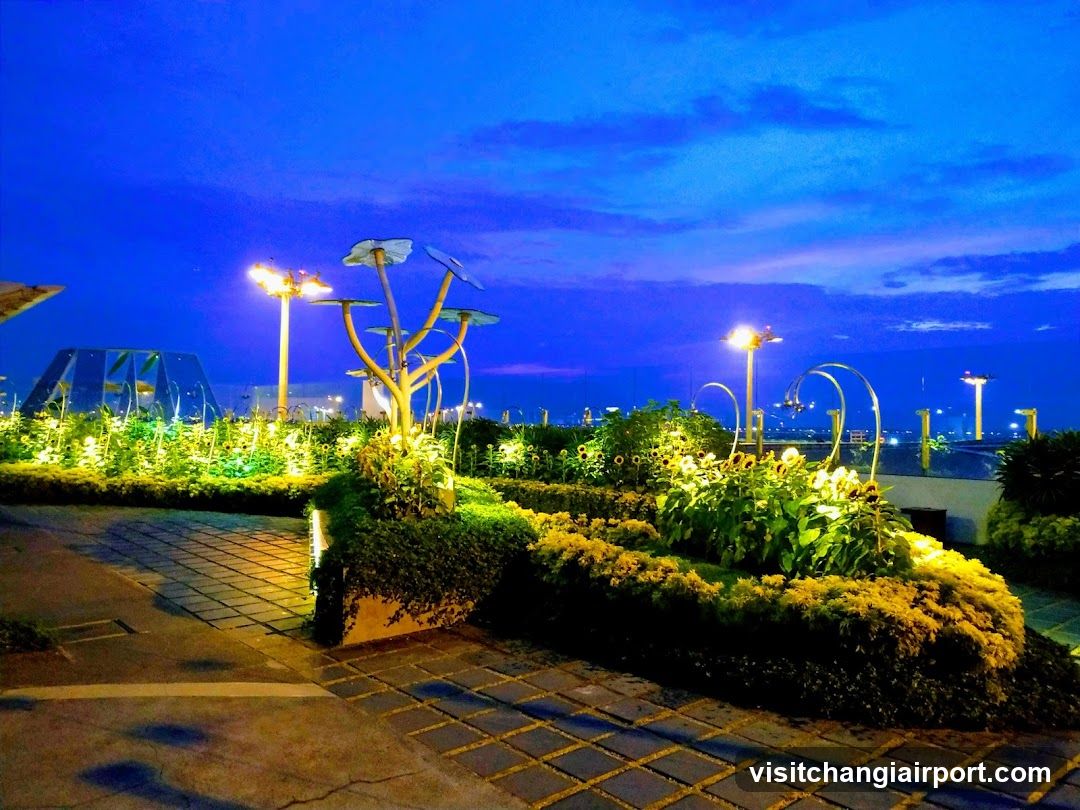 Evening Garden Scene with Artificial Trees and Lighting