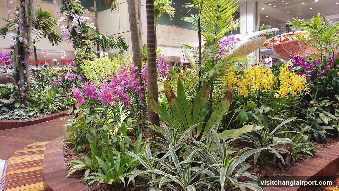 Indoor Garden Display