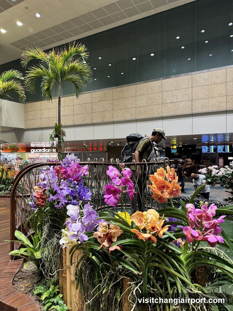 Airport Garden Interior