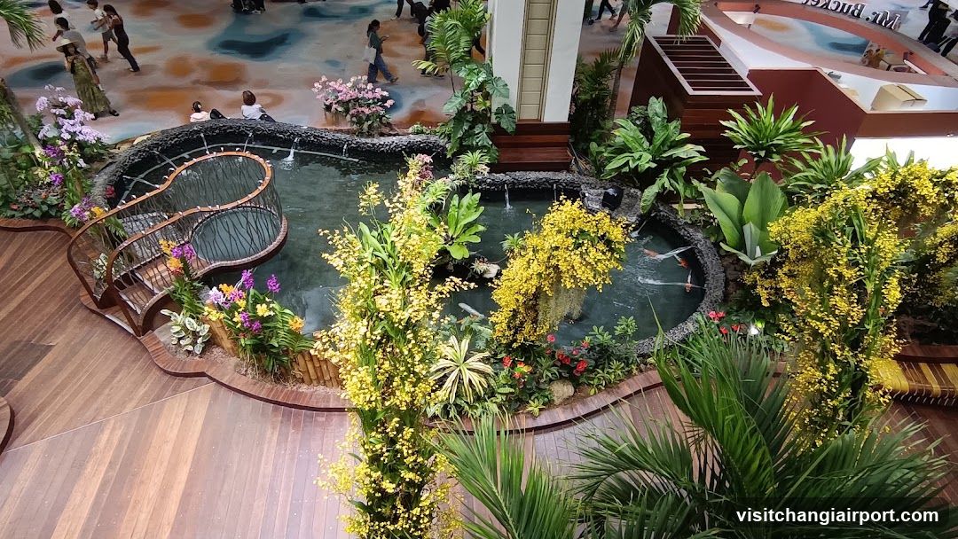 Indoor Garden with Pond and Plants