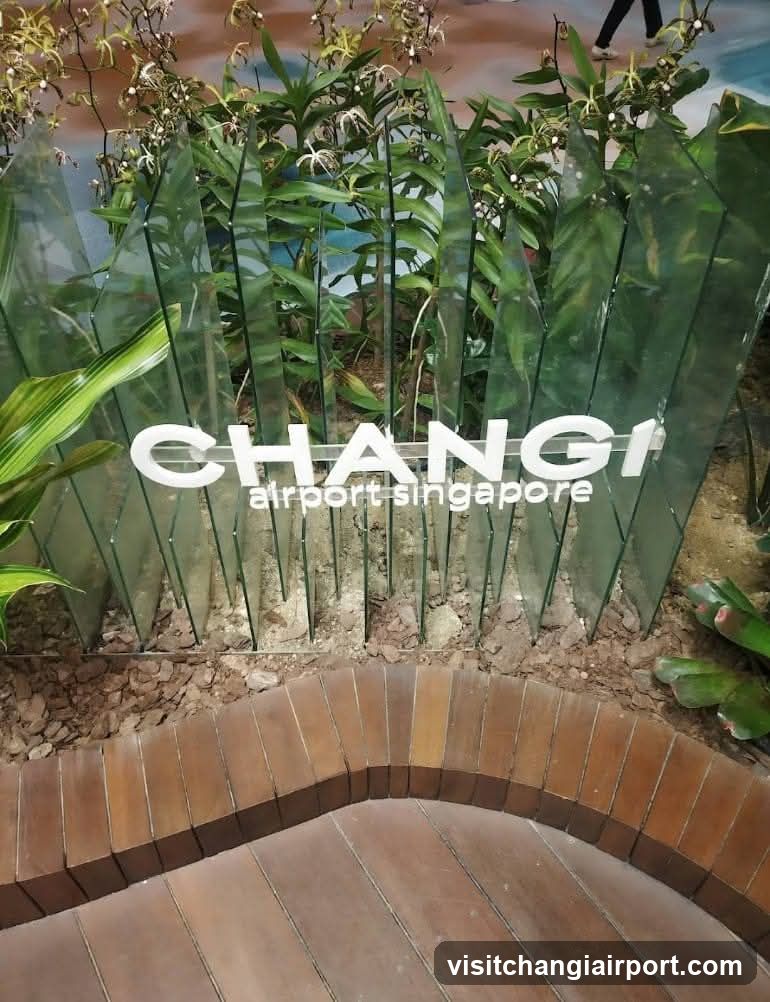 Changi Airport Singapore Signage