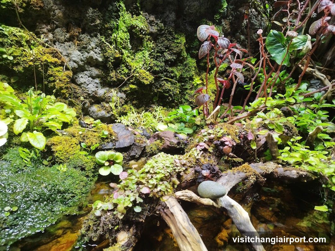 Mossy Streamside Habitat