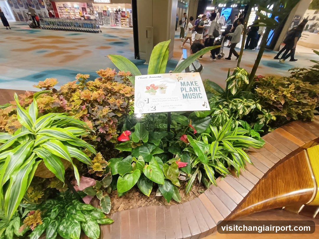 Plant Display with Signage