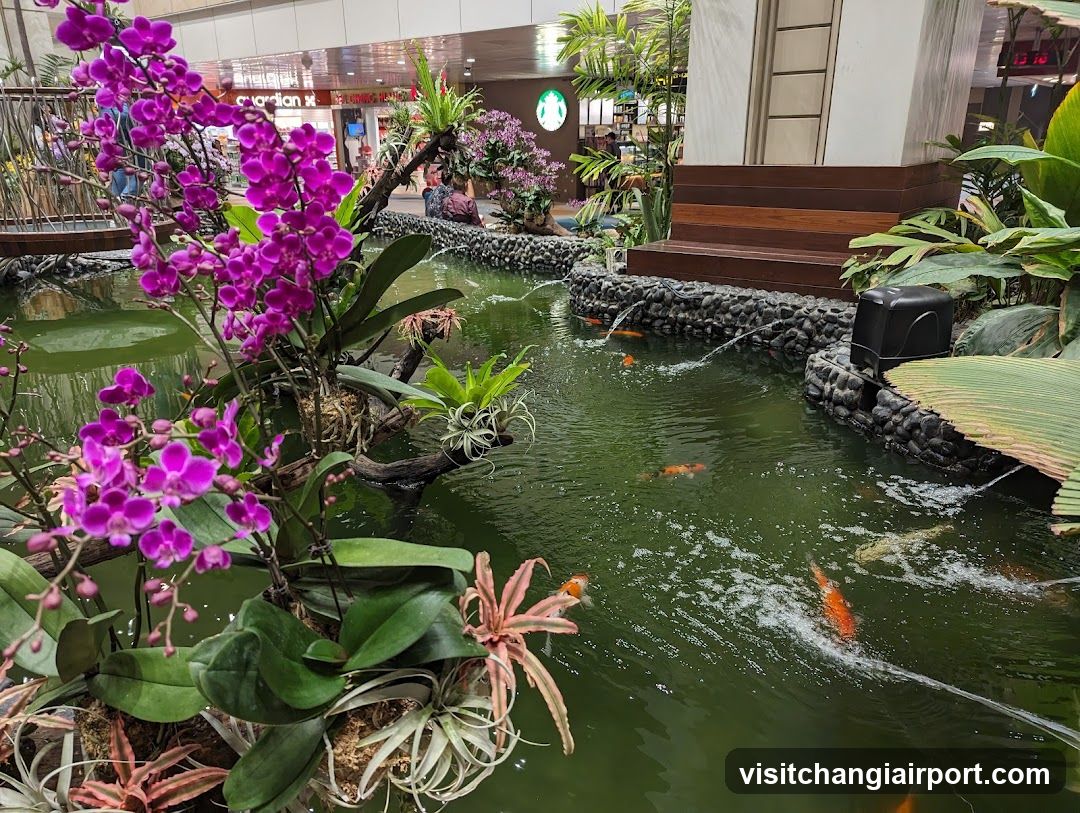 Indoor Koi Pond with Orchids