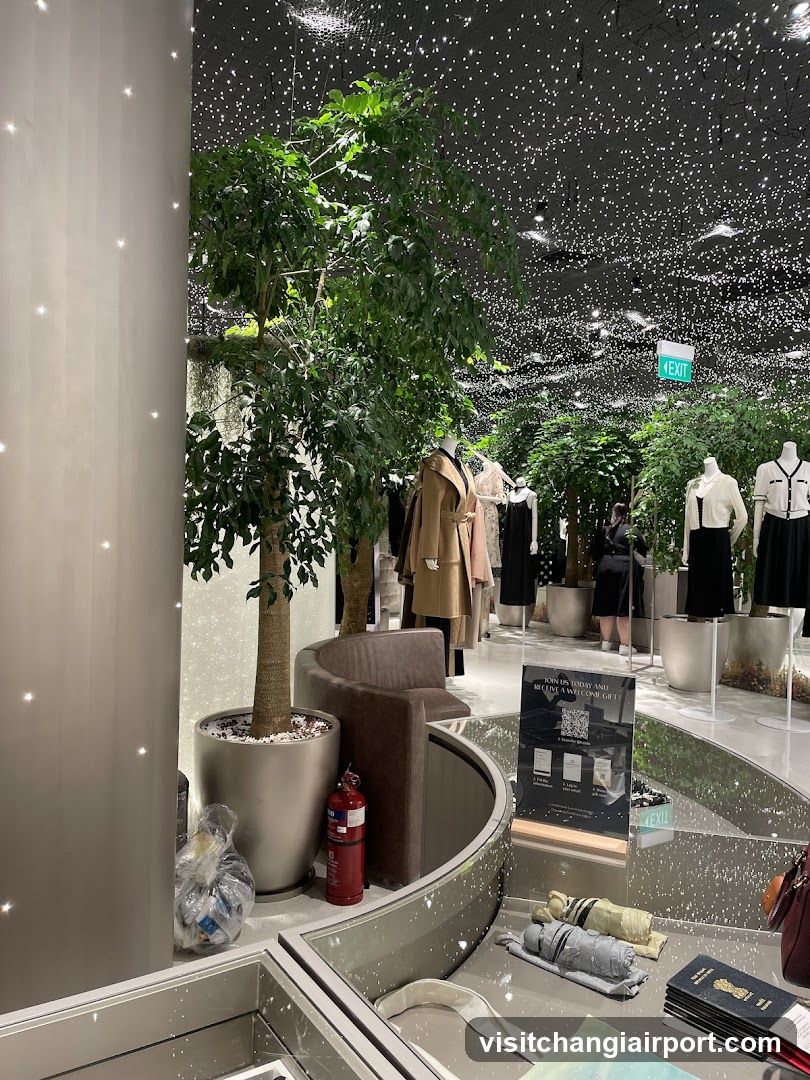Interior Fashion Store Display