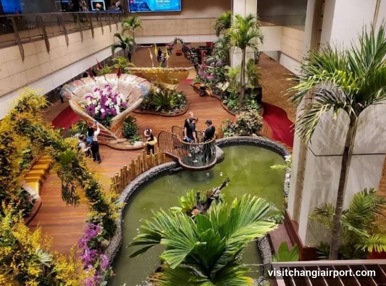 Indoor Tropical Garden Display