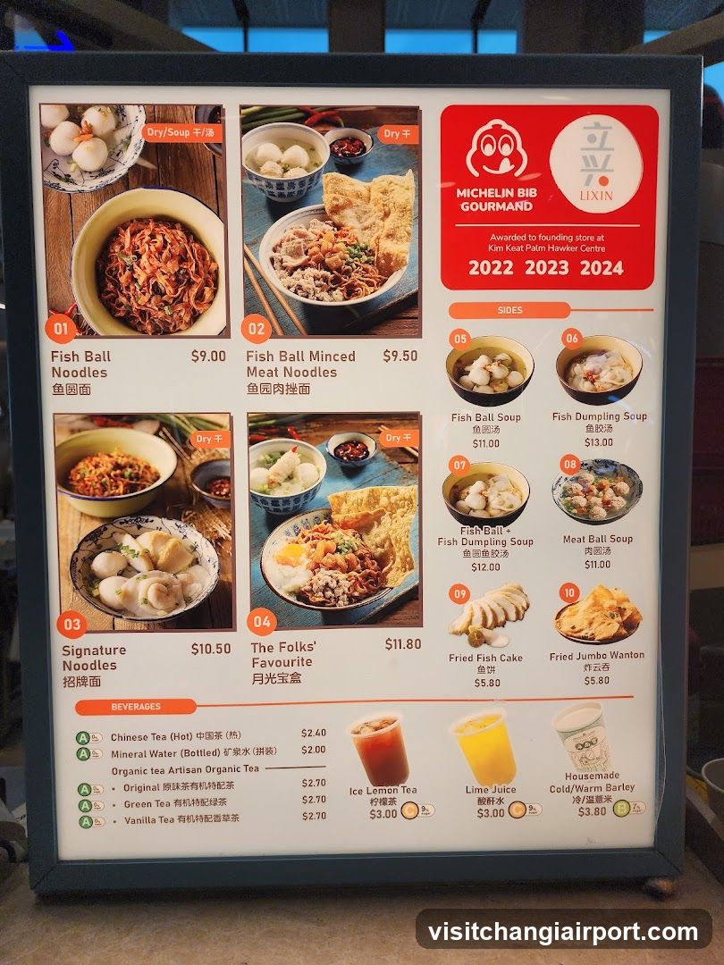 LiXin Teochew Fishball Noodles - Changi Airport T1 Transit