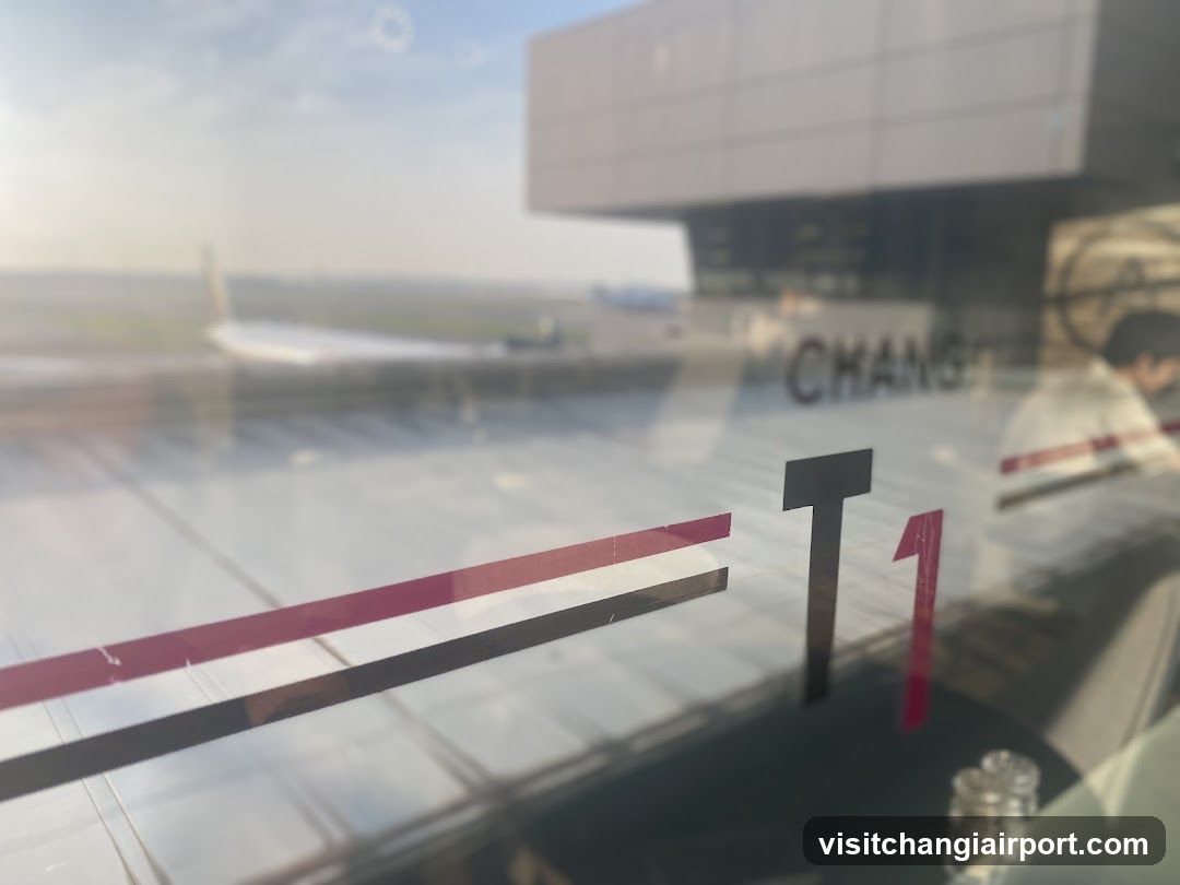 Airport Terminal Window View