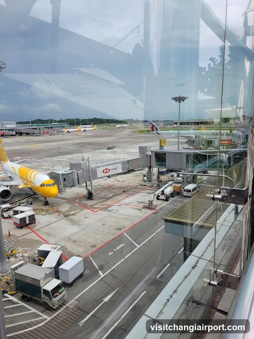 Airport Terminal View