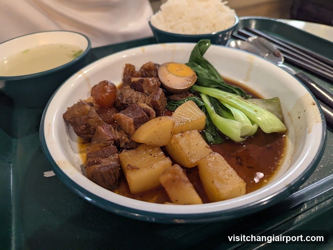 Braised Pork and Rice Meal