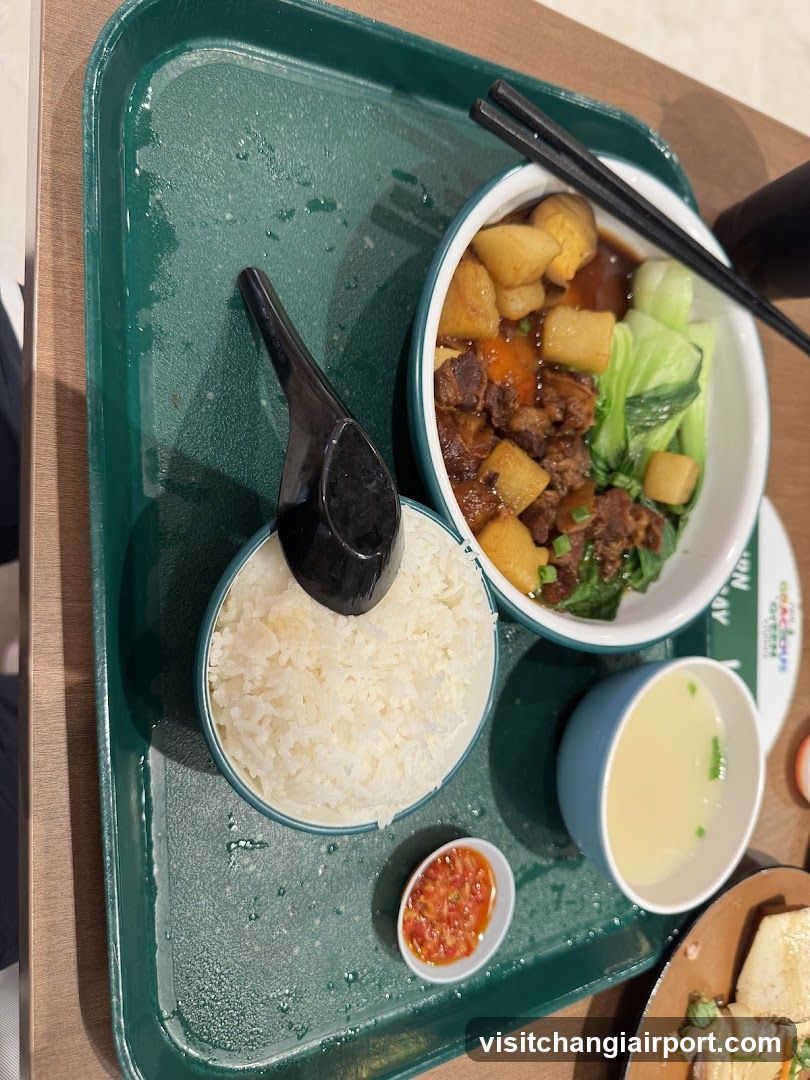 Meal Tray with Rice and Stew