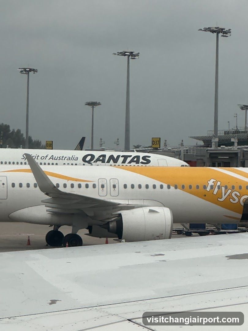 Airport Tarmac with Qantas and Flysco planes