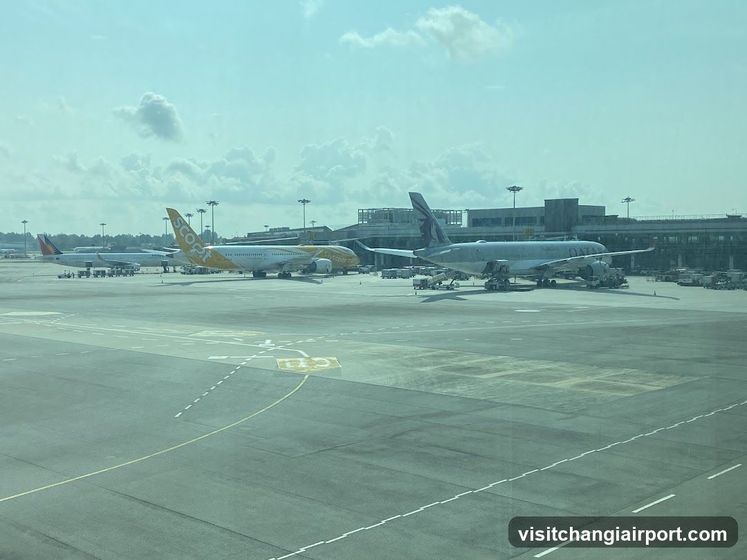 Airport Tarmac View