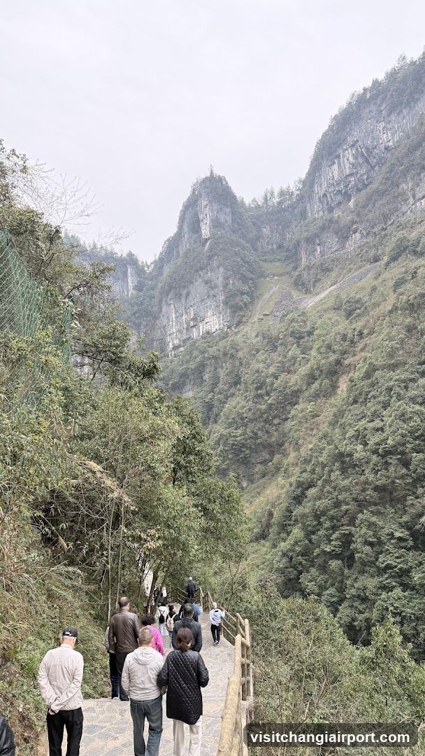 Hikers on a mountain trail