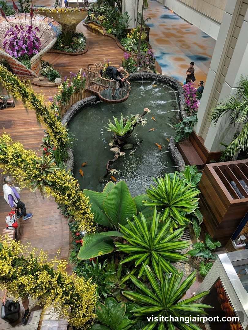 Indoor Garden with Pond and Plants
