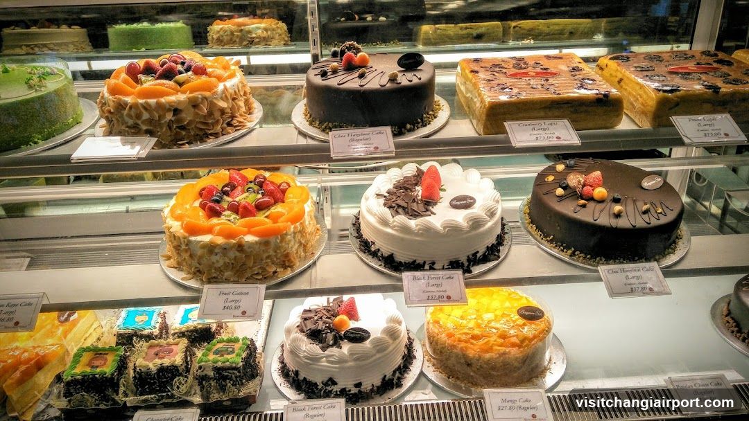 Cake Display Case