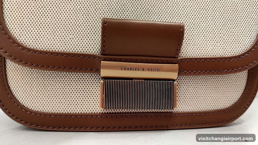 Charles & Keith Bag Close-up
