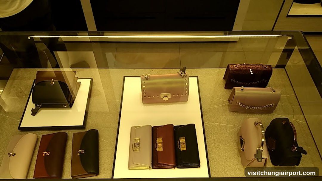 Handbag Display Case