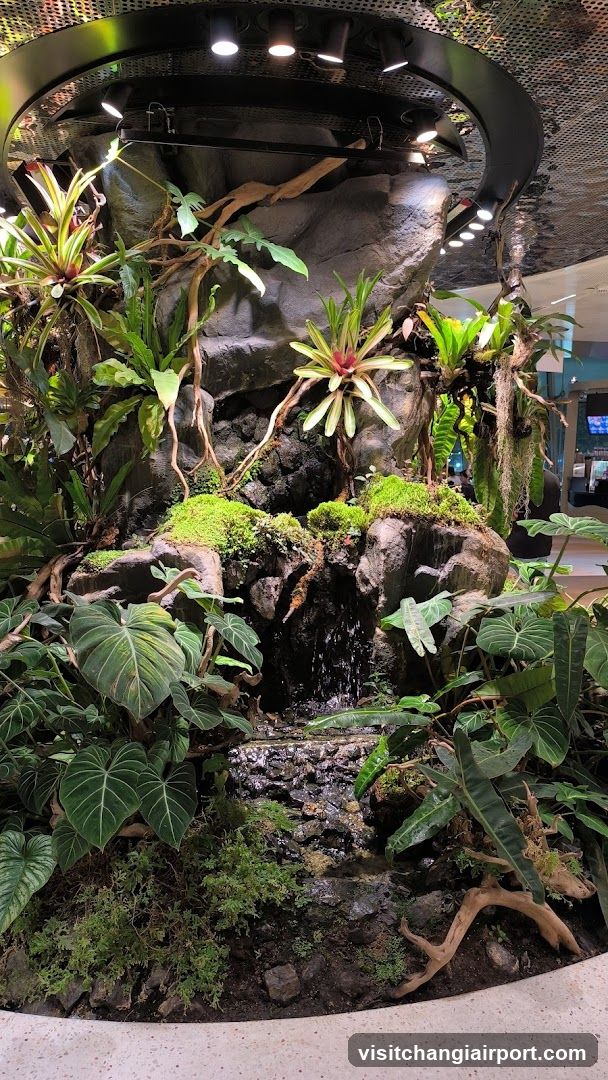 Indoor Tropical Garden Display