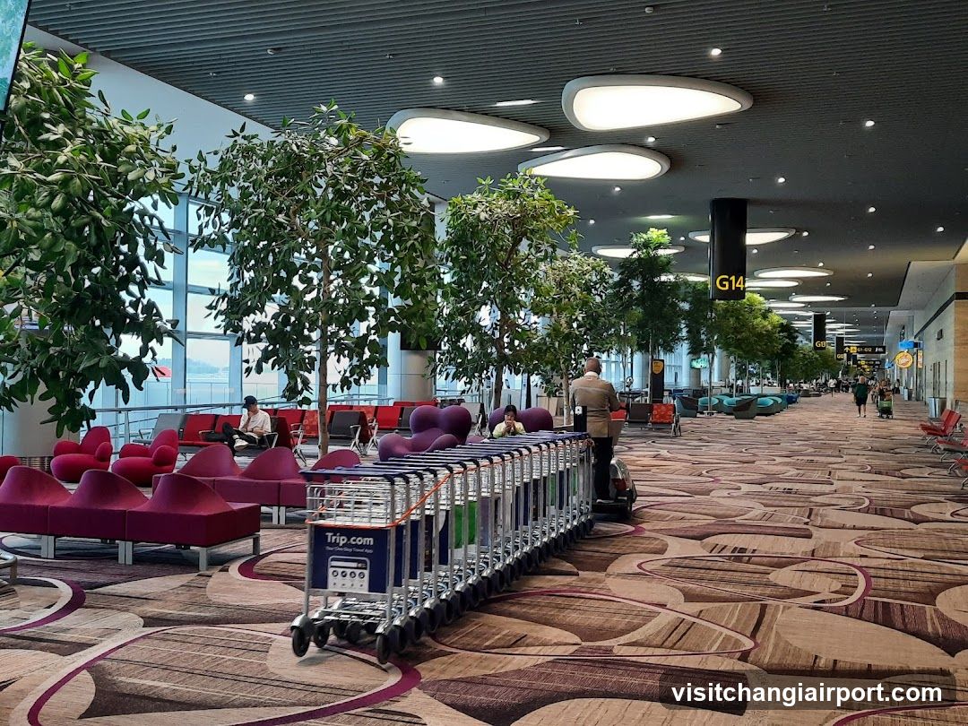 Burger King Terminal 4 Transit