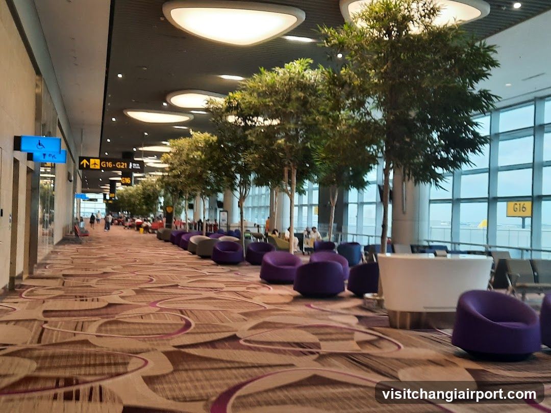 Airport Terminal Lounge Interior