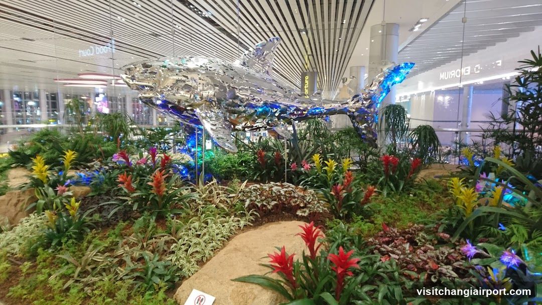 Indoor Garden with Shark Sculpture