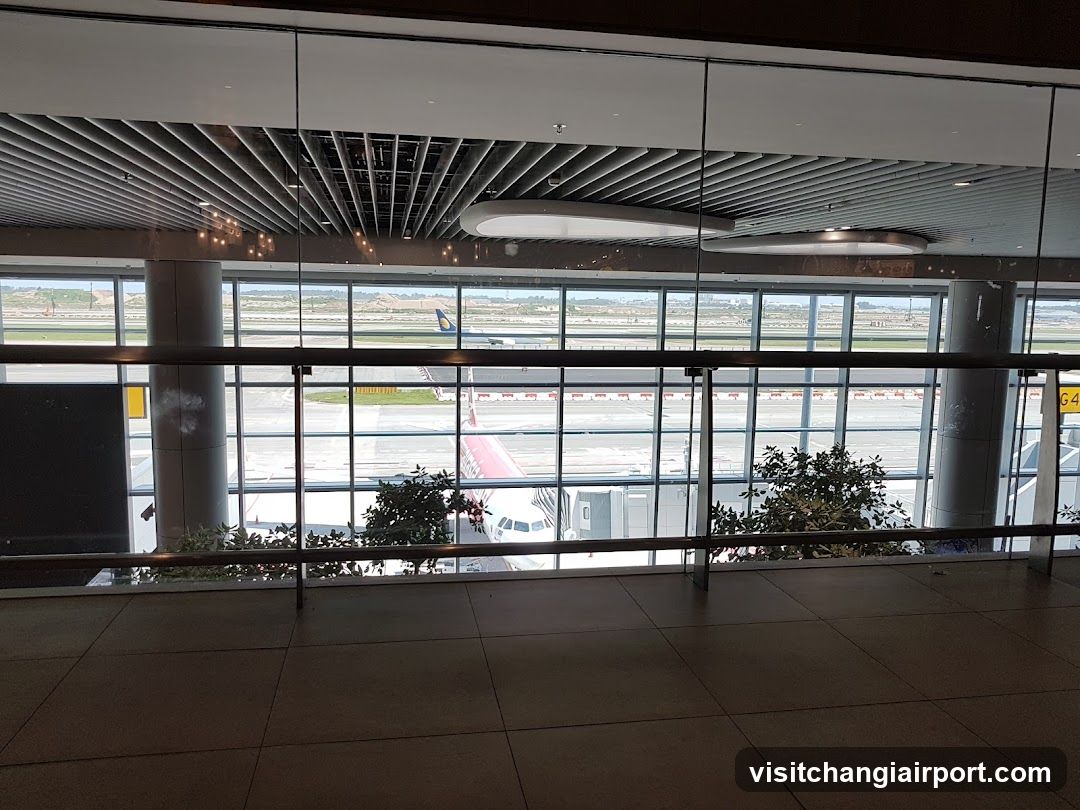 Airport Terminal View