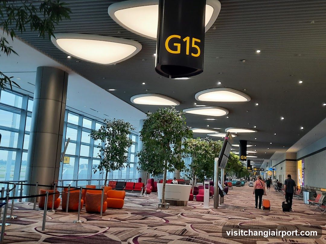 Airport Terminal G15