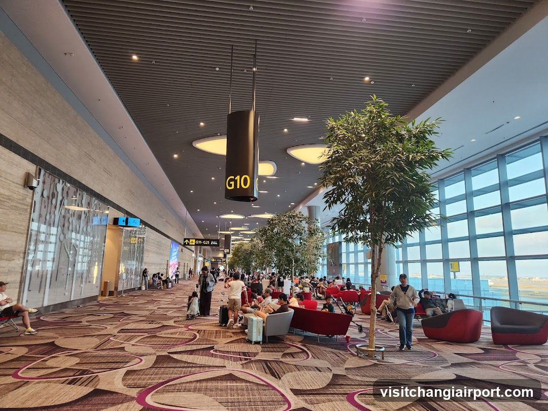 Airport Terminal G10 Interior