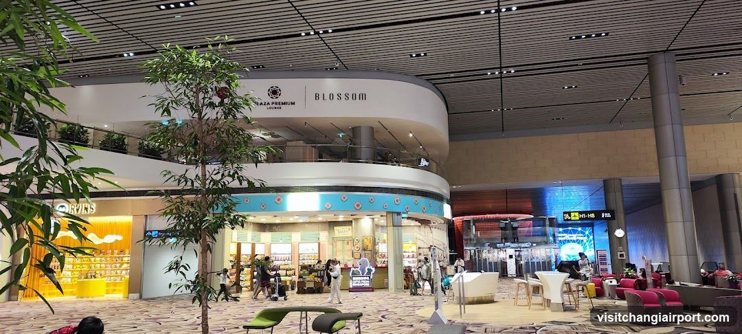 Airport Terminal Interior