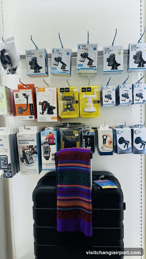 Car Mount Display