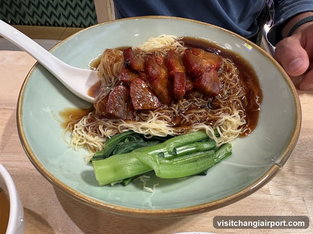 Bowl of Noodles with Braised Pork and Greens