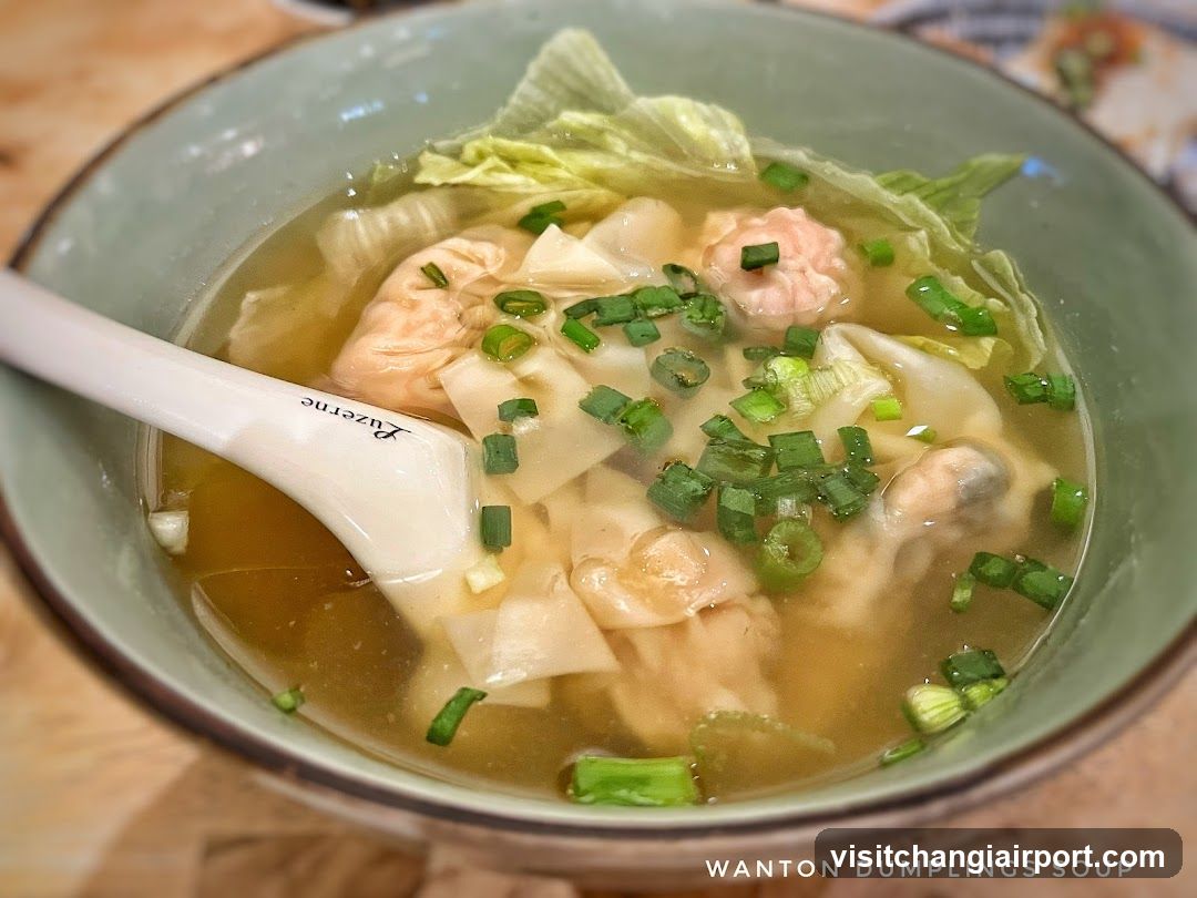 Wonton Dumplings Soup