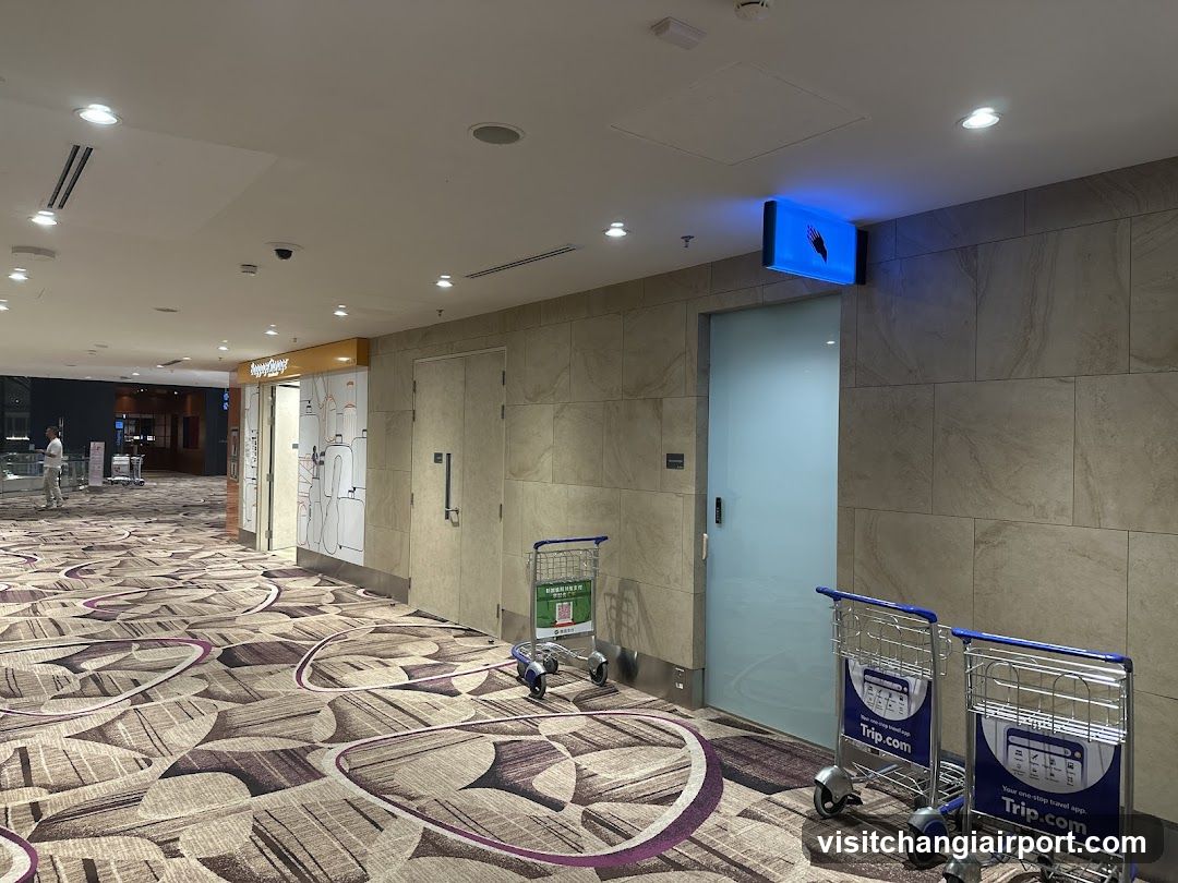 Airport Terminal Corridor with Shopping Carts