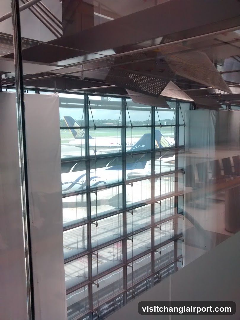 Airport Terminal View
