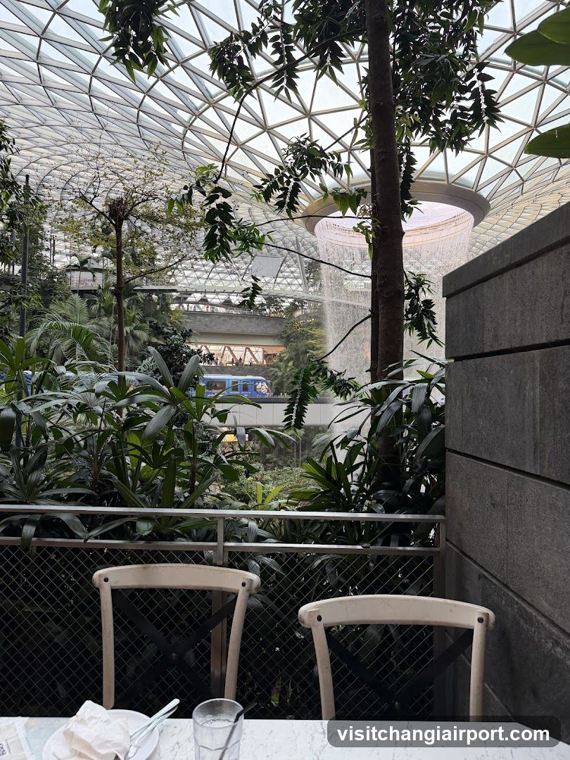 Indoor Garden View with Seating Area