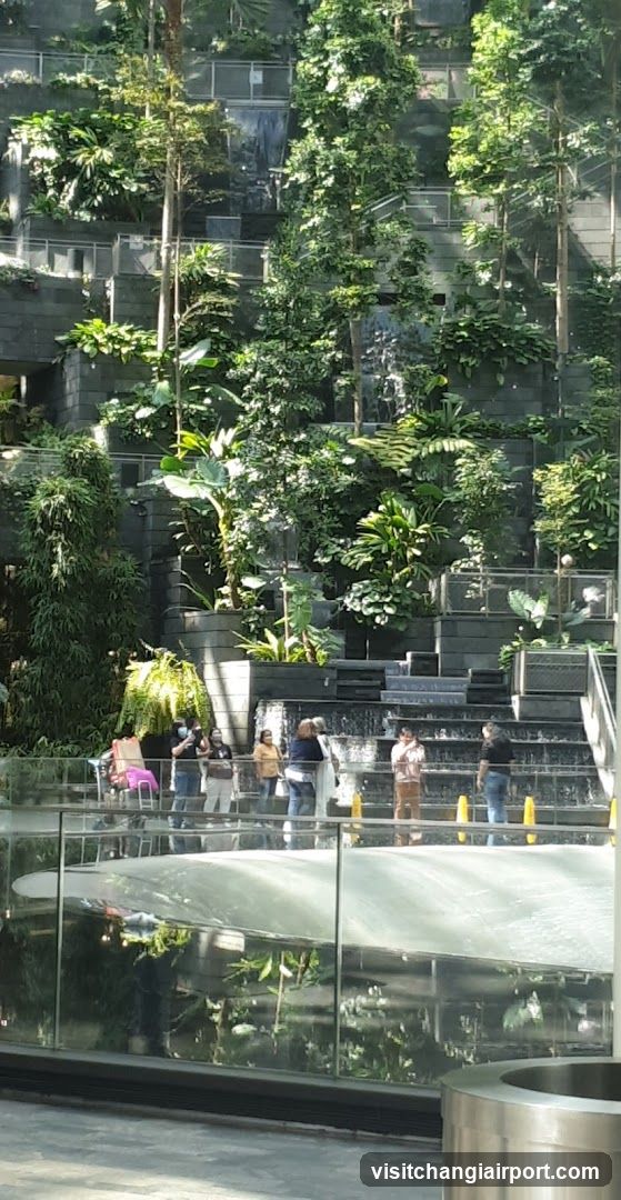 Mirror Maze