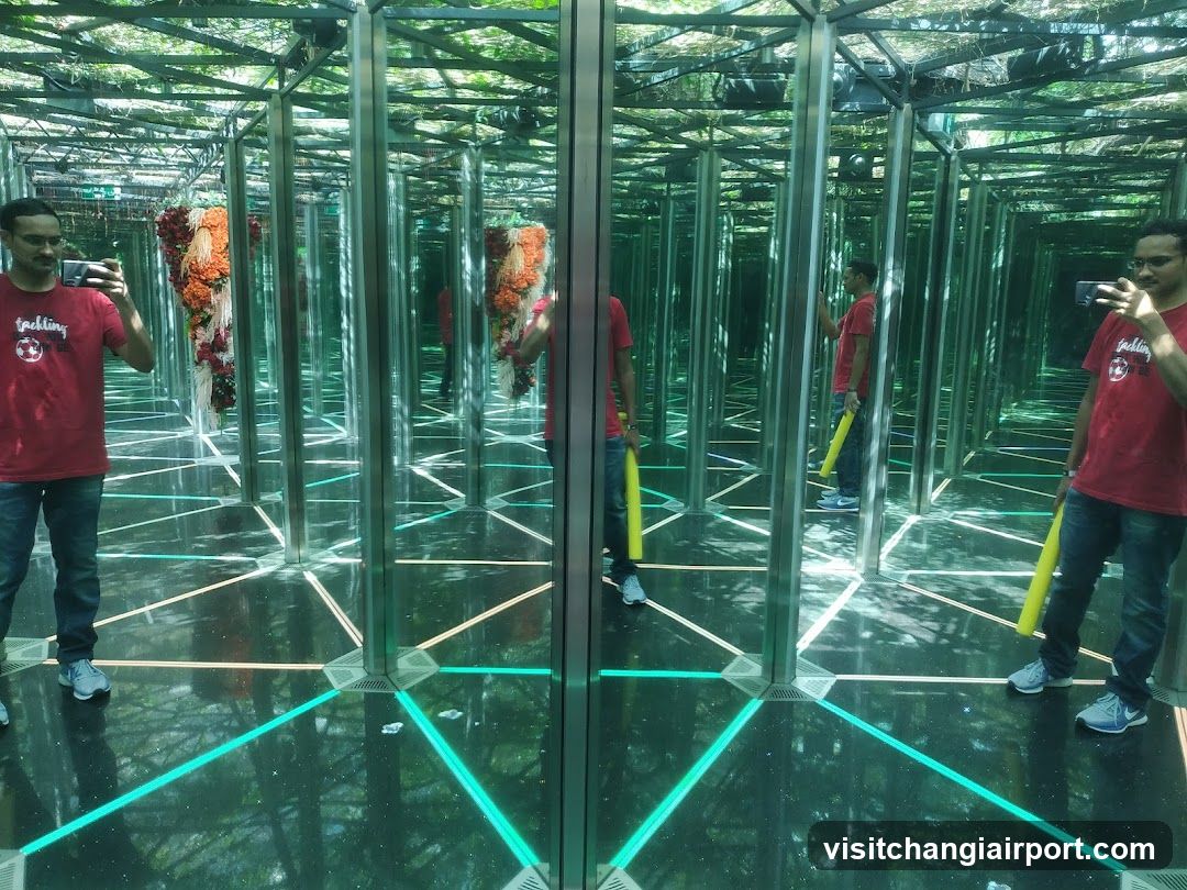 Mirror Maze